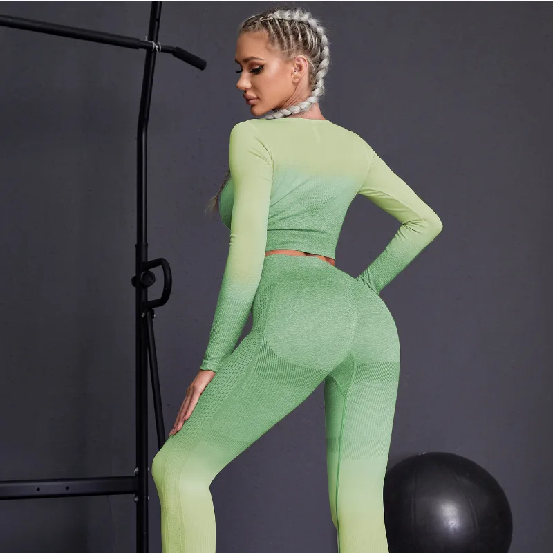 Seamless Yoga Sets Sports Fitnes High Waist Hip Raise Pants Long-Sleeved Suits Workout Clothes Gym Shorts Set for Women