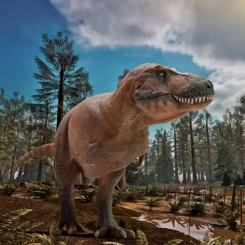 

Dinosaur Museum New Version Tyrannosaurus Rex Cameron with Skull 1:35 Scientific Art Model Collect Ornaments Festival Gift