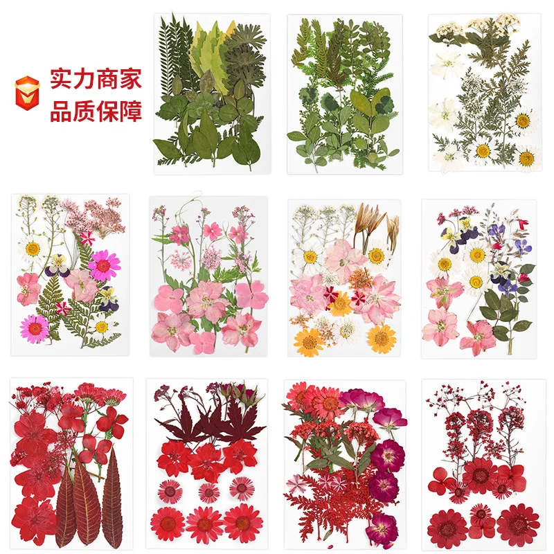 1set Hot Selling Scattered Immortal Flower Decoration Material package, Handmade Aromatherapy Candle Dropper Glue DIY Ornament