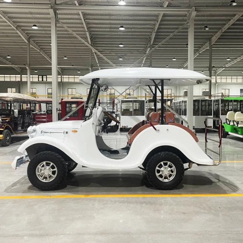 Street Legal Custom Lithium Battery (72V120AH) Electric Classic Car, Mini Sunshade And Rain Cover, Adult Electric Golf Cart