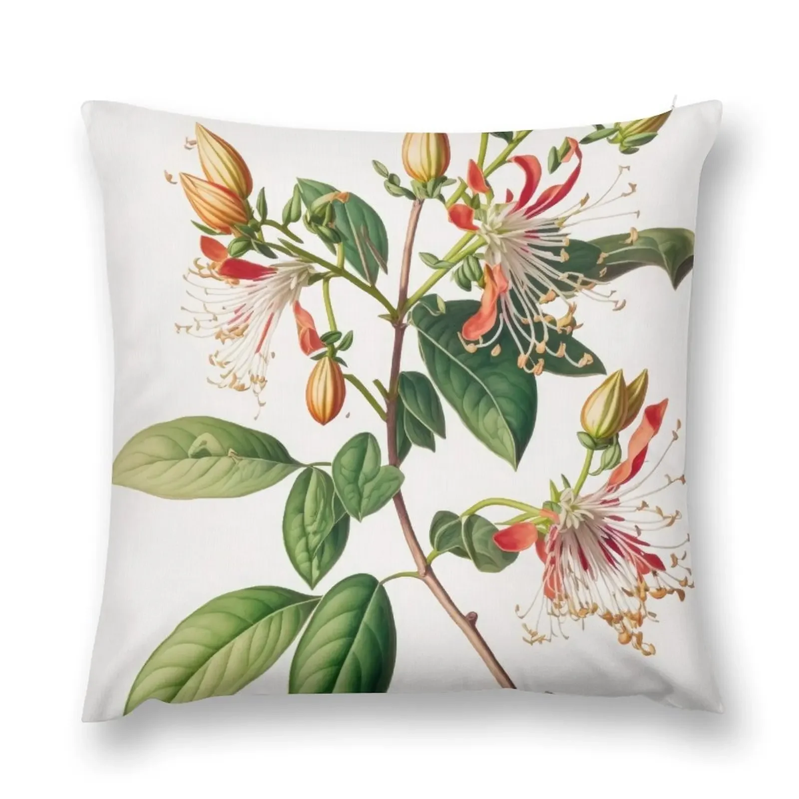 Honeysuckle Flowers Throw Pillow Covers For Sofas Pillows Aesthetic Decorative Cushions For Living Room pillow