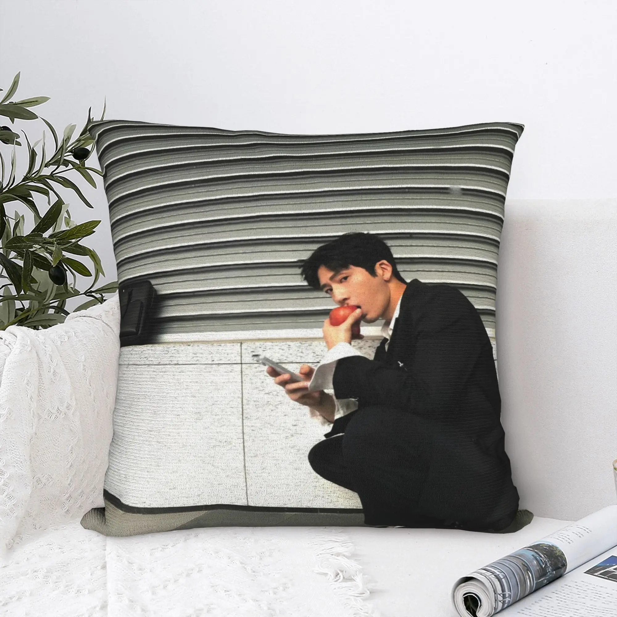 The Early Spring Luke Pillow Cover  Soft Cushion Cover Vintage Pillow Case For Sofa Couch Bed Living Room