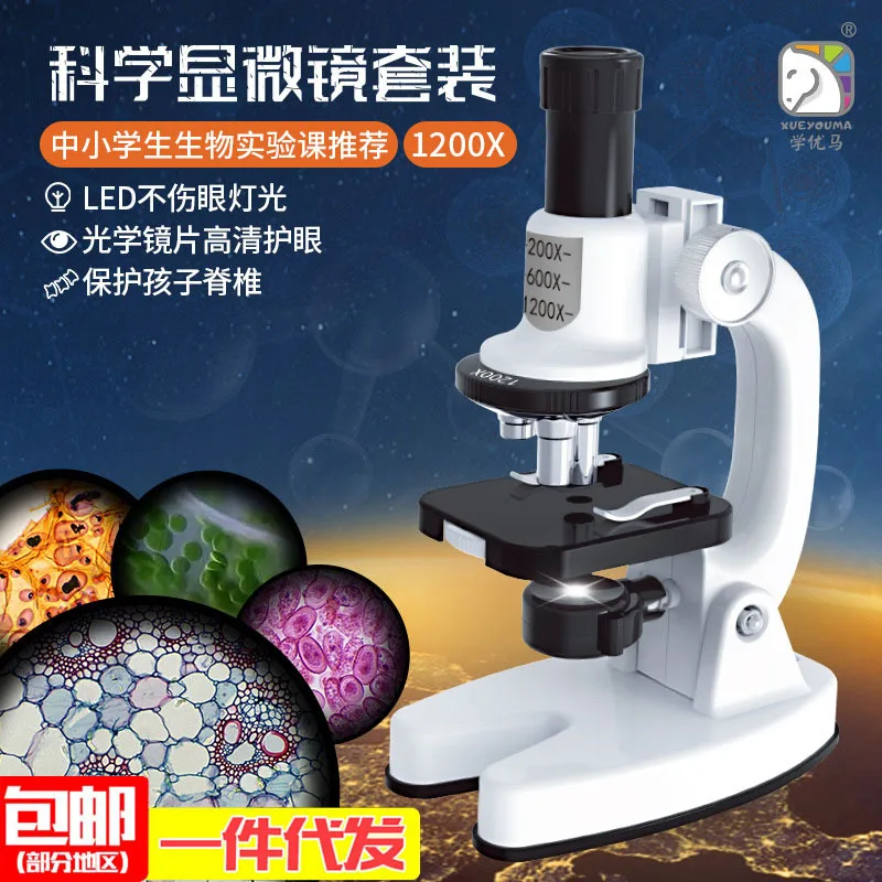 Microscope Children's HD Magnifier Set Primary and Secondary School Students Biological Science Experiment Toys Educational Scie