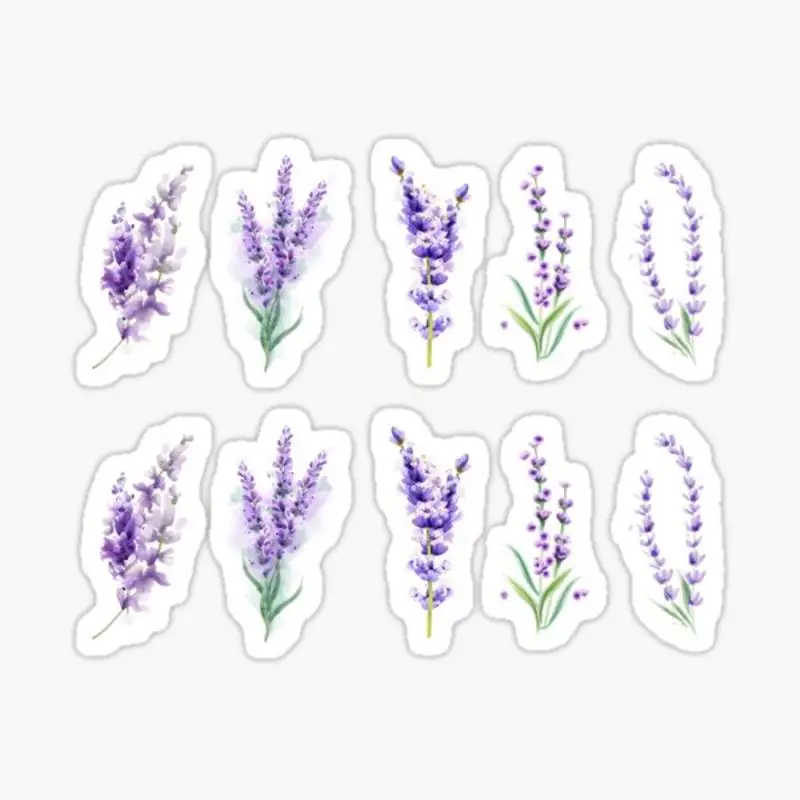 Lavanda adesivo para laptop decoração, bonito cartoon arte, para quarto, carro, caso elegante