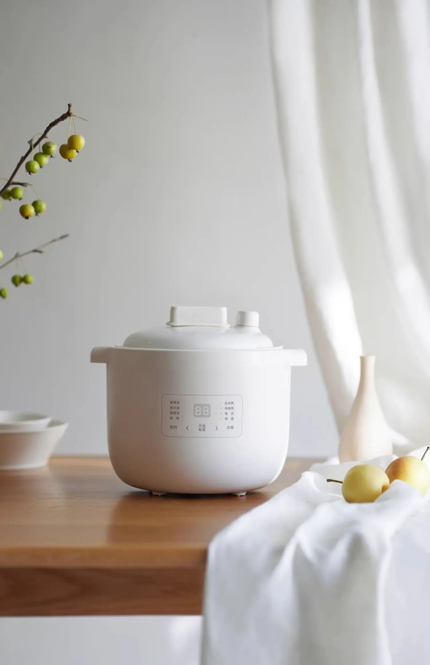 وعاء الحساء الكهربائي 220 فولت 2 سعة 5 لتر مع ضغط صغير لحساء الطبخ المنزلي عصيدة CBL