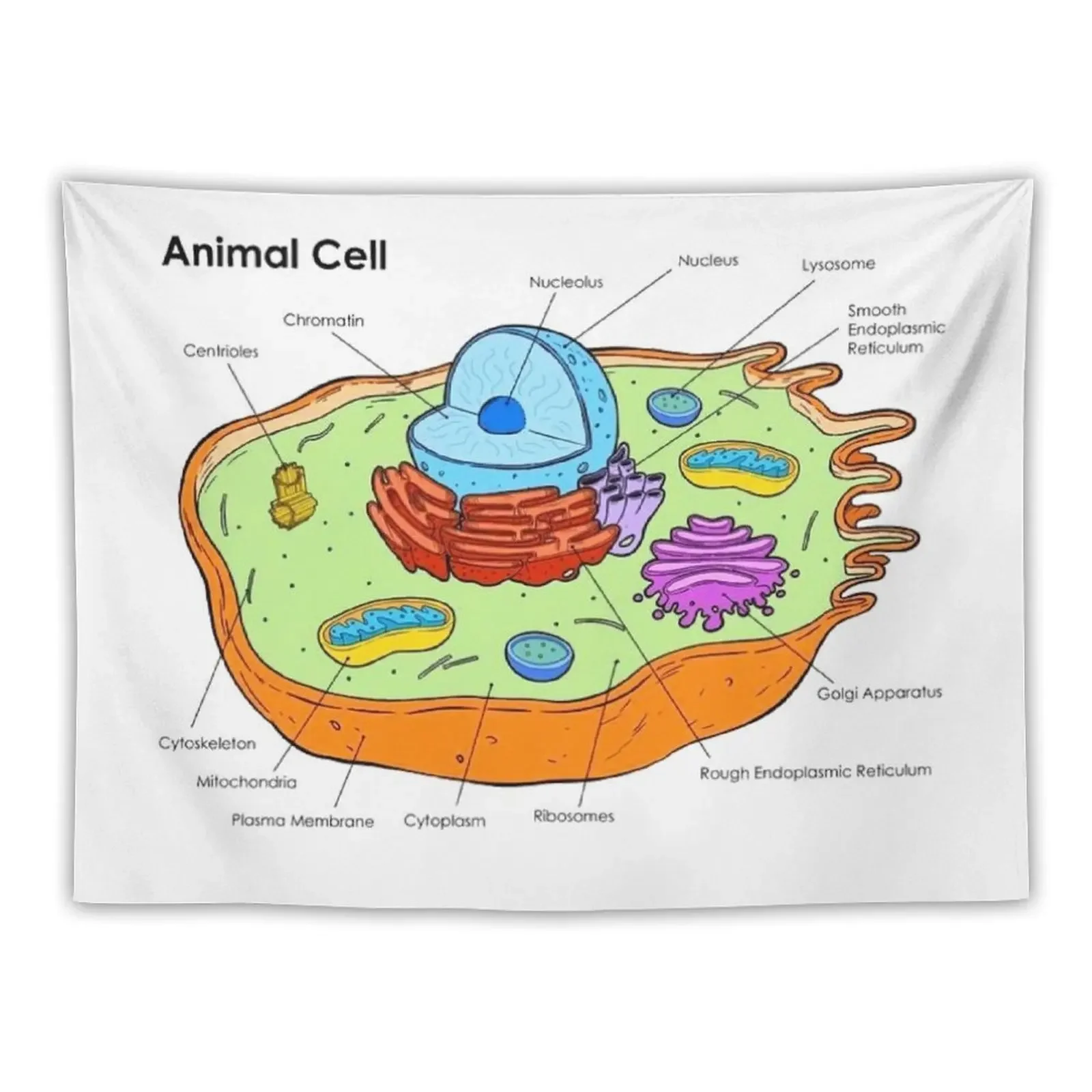 

Animal Cell - Biology Tapestry Decorative Wall Mushroom Home Decorators Tapestry