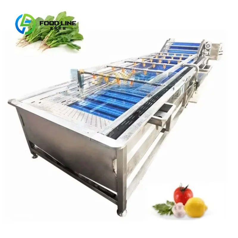 CE Certificated Industrial Fruit and Vegetable Air Bubble Washing Cleaning Machine