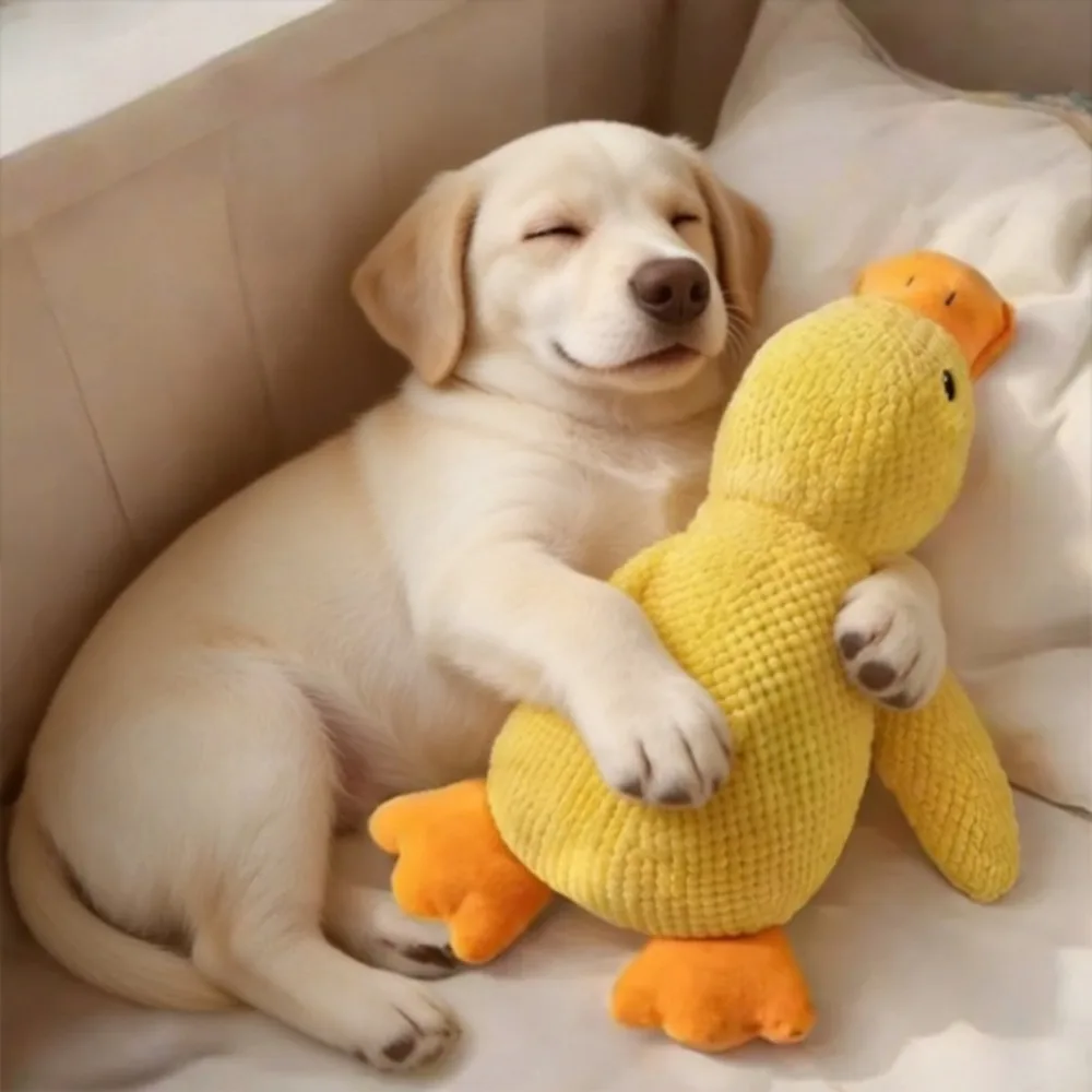 1 Stück Hundespielzeug Plüsch-Begleiter Schlafende Ente Zahnreinigung Geräuschlinderung Enten-Soundspielzeug Haustier-Spielzeug
