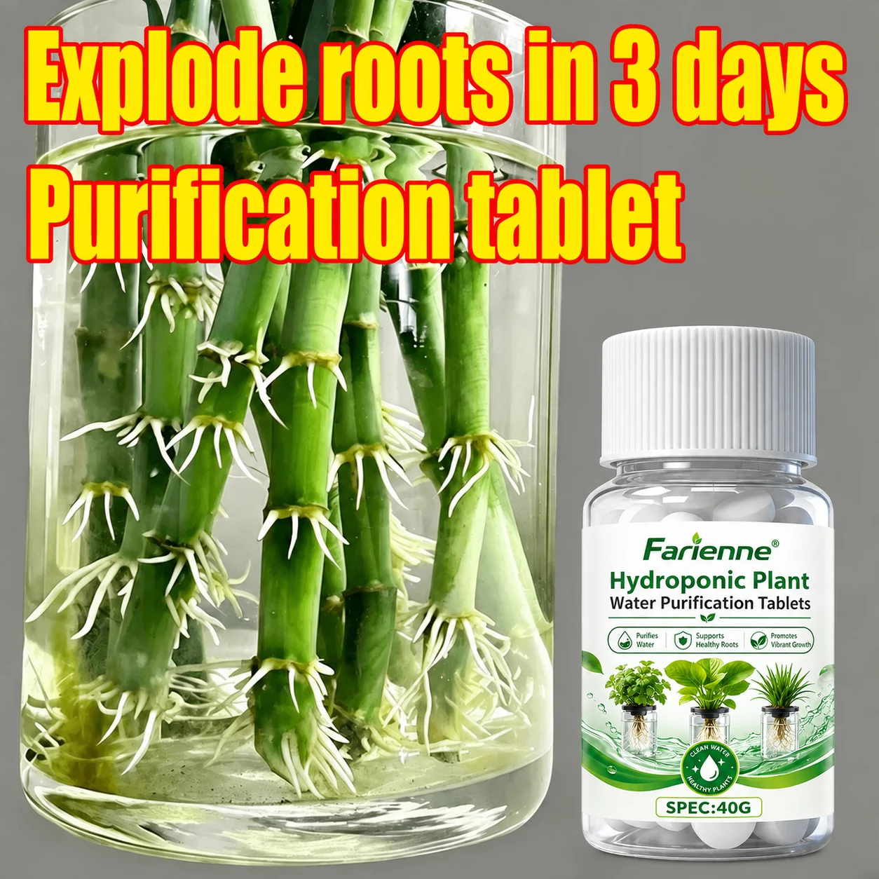 Plant Root Purification Tablets 40G Hydroponic Root Growth Rooting Stimulator For Water Plant Bamboo Orchid Indoor House Plants