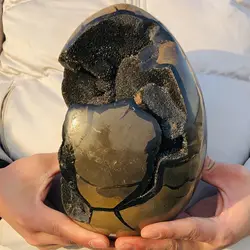 Natural Turtle Back Stone Egg Shape Dragon Crystal Crack Mineral SpecimenHome Office Hallway Decoration Healing Gift