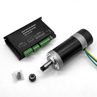 48v 500w Bldc Brushless Dc Motor 10000rpm Motor with Spindle ER11 24v Spindle Motor