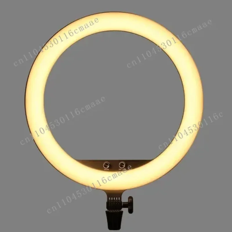 Neues 19-Zoll-Rundlicht-Video-Selfie 18-Zoll-Rundlicht