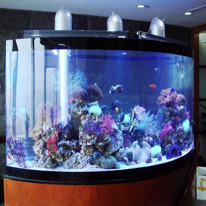 Professional manufacturers custom-made aquarium, large hotel aquarium, aquarium exhibition fish tank, seawater fish tank project