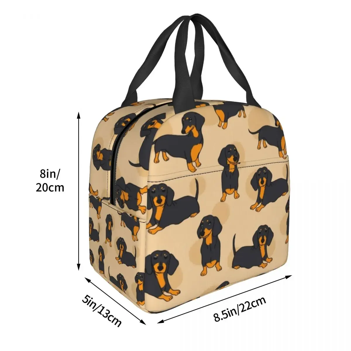 حقيبة غداء بنمط Teckel Dachshund للرجال والنساء، صندوق غداء معزول دافئ ومبرد للأطفال في المدارس