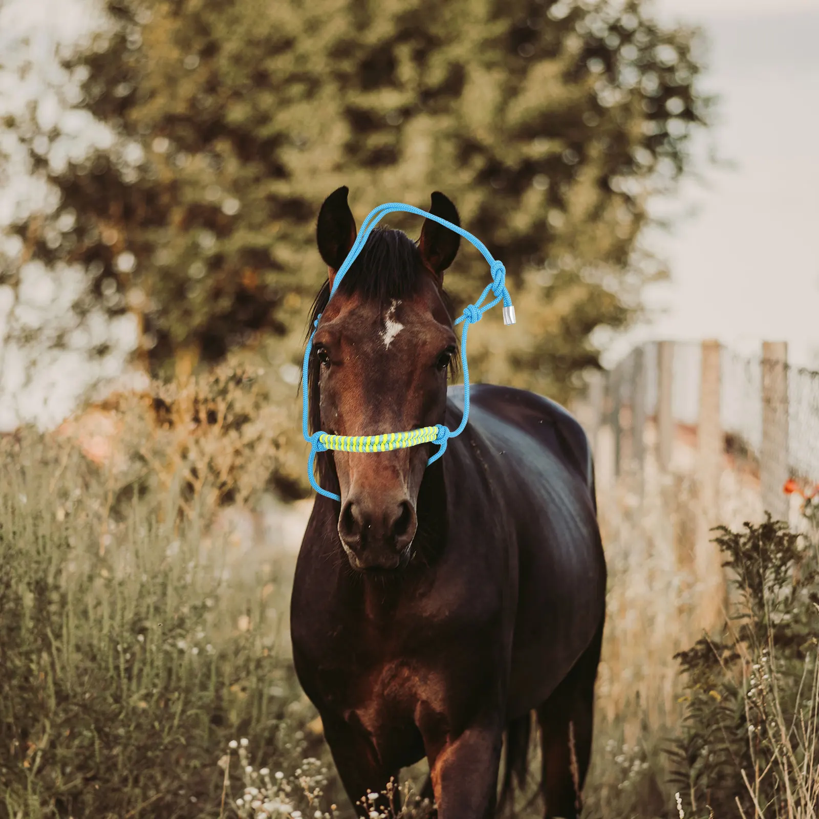 

1pcs Wear-Resistant Rope For Outdoor Training Lightweight Portable Halter Nylon Safety Halter For Riding Show Durable Horse Head