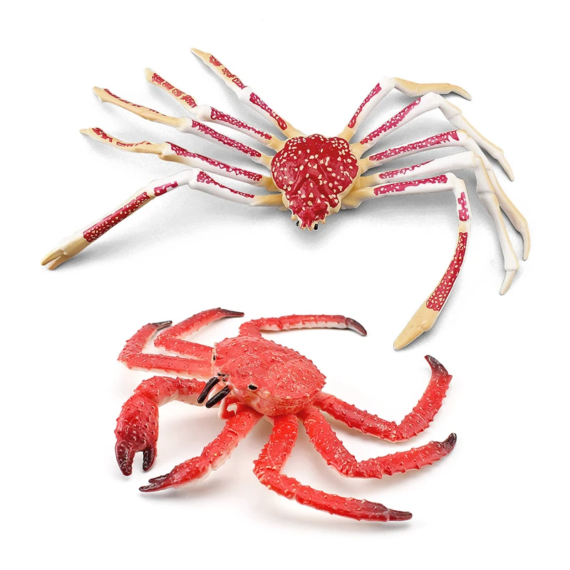 New Simulation Ocean Sea Life Animal Crab Model Marine Life Spider Crabs Action Figures Early Educational Toys for Children Gift