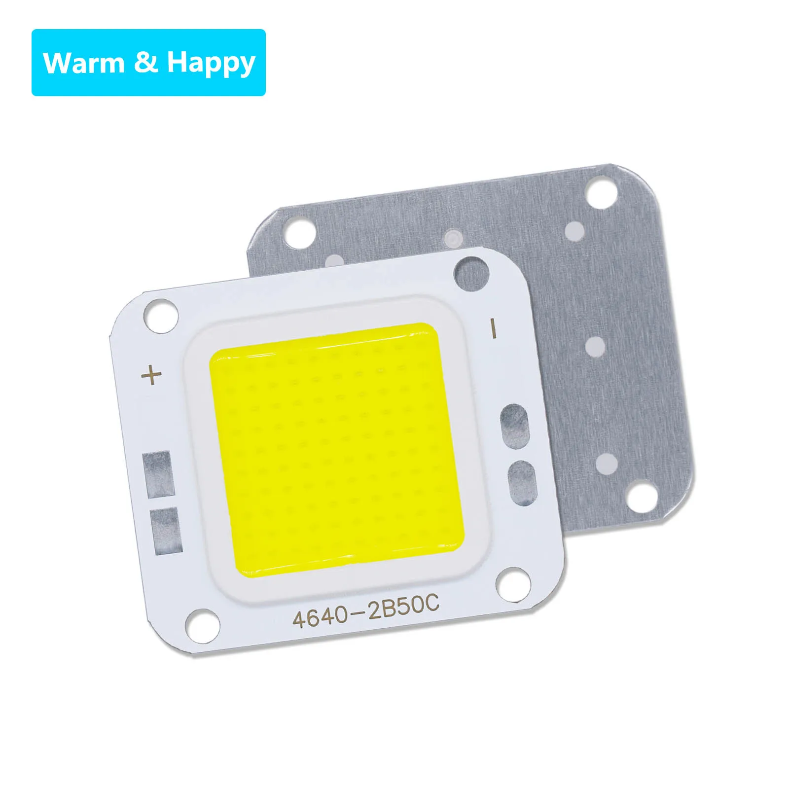 20W 30W 50W 100W LED COB High Voltage Inverted Non Isolated Chip 4640 LED Flood Light Projection Light Outdoor Light Source DIY