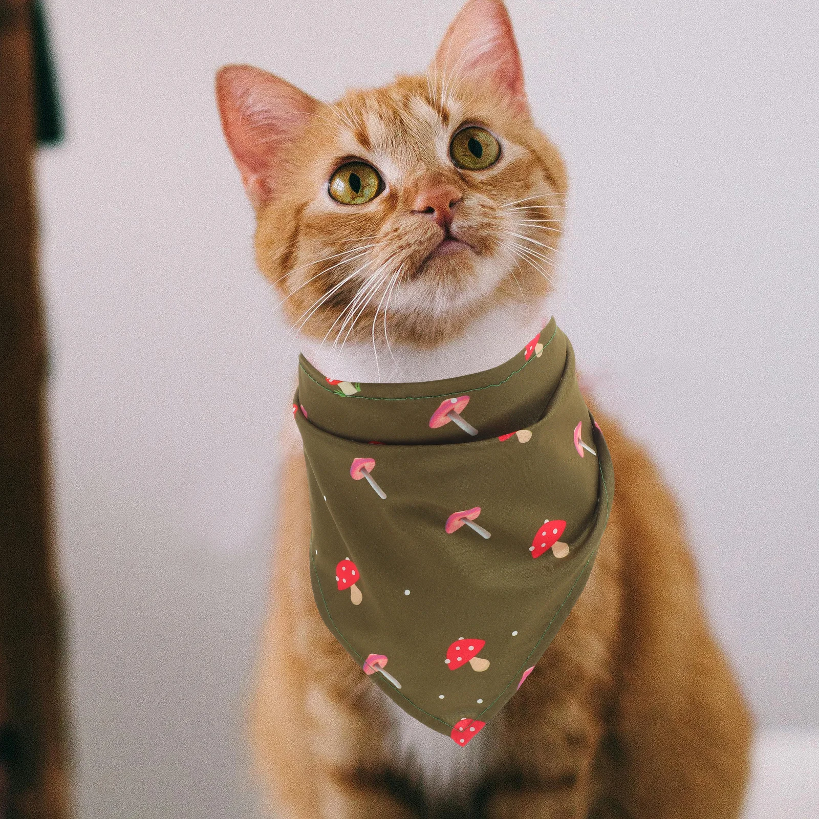 

2pcs Pet Dog Bandana Triangular Scarf Printed Polyester Adjustable For Dogs Cats Puppy Small Pets Birthday Party Outdoor Decor