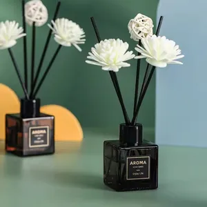 50 ml Flameless Home Fragrance Room Parfum Penyegar Udara Cair Hadiah Ulang Tahun Ornamen Dekoratif Diffuser Aromaterapi 12 bau rumah penjualan terbaik - №