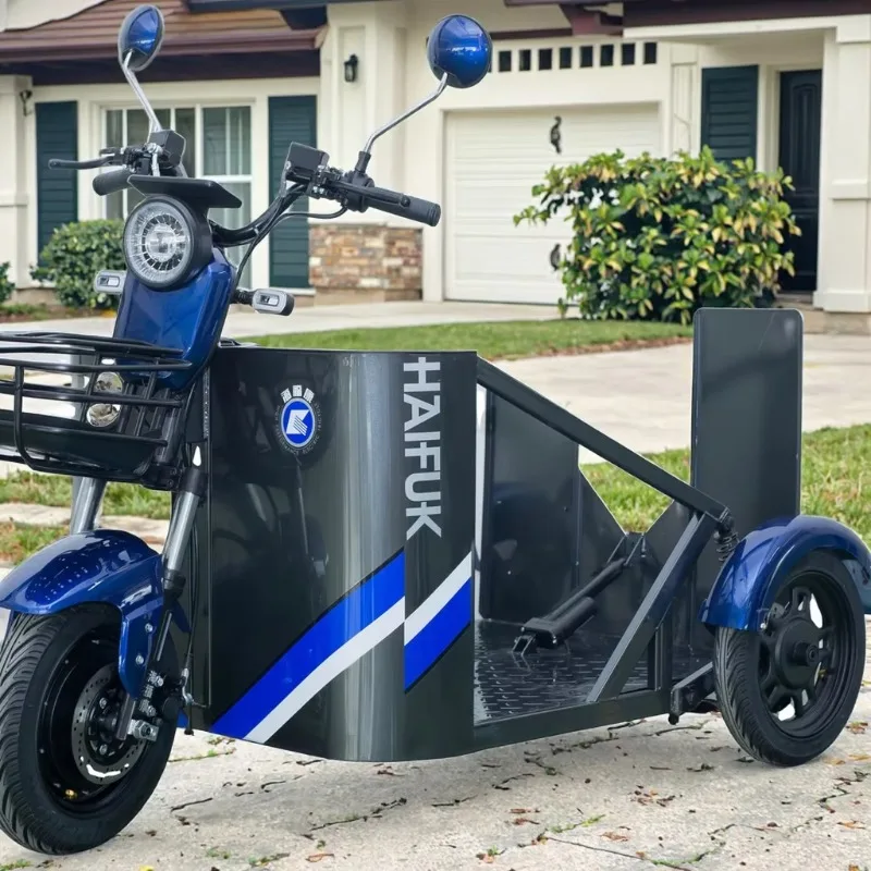 Disabled 3 Wheeler 48V 1000W Motorized Electric-assist Type Disabled Person's Three-wheeler, Outdoor Skateboard Vehicle