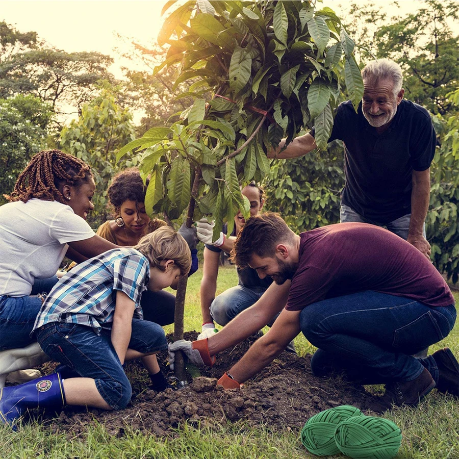 Corda di supporto per piante da 1181 pollici/30 m, corda per avvolgere il giardino verde, fascetta per piante fai-da-te, benda per piante di supporto, fascetta per arrampicata su piante da giardino, pl