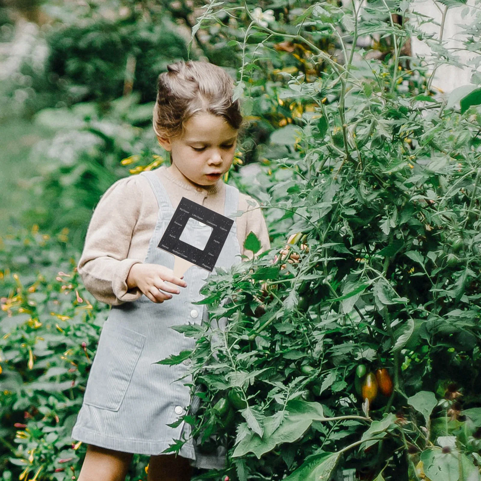 Nature Guide Finder Wood Handheld Outdoor Identification Tool for Kids Nature Activity Identification Tool