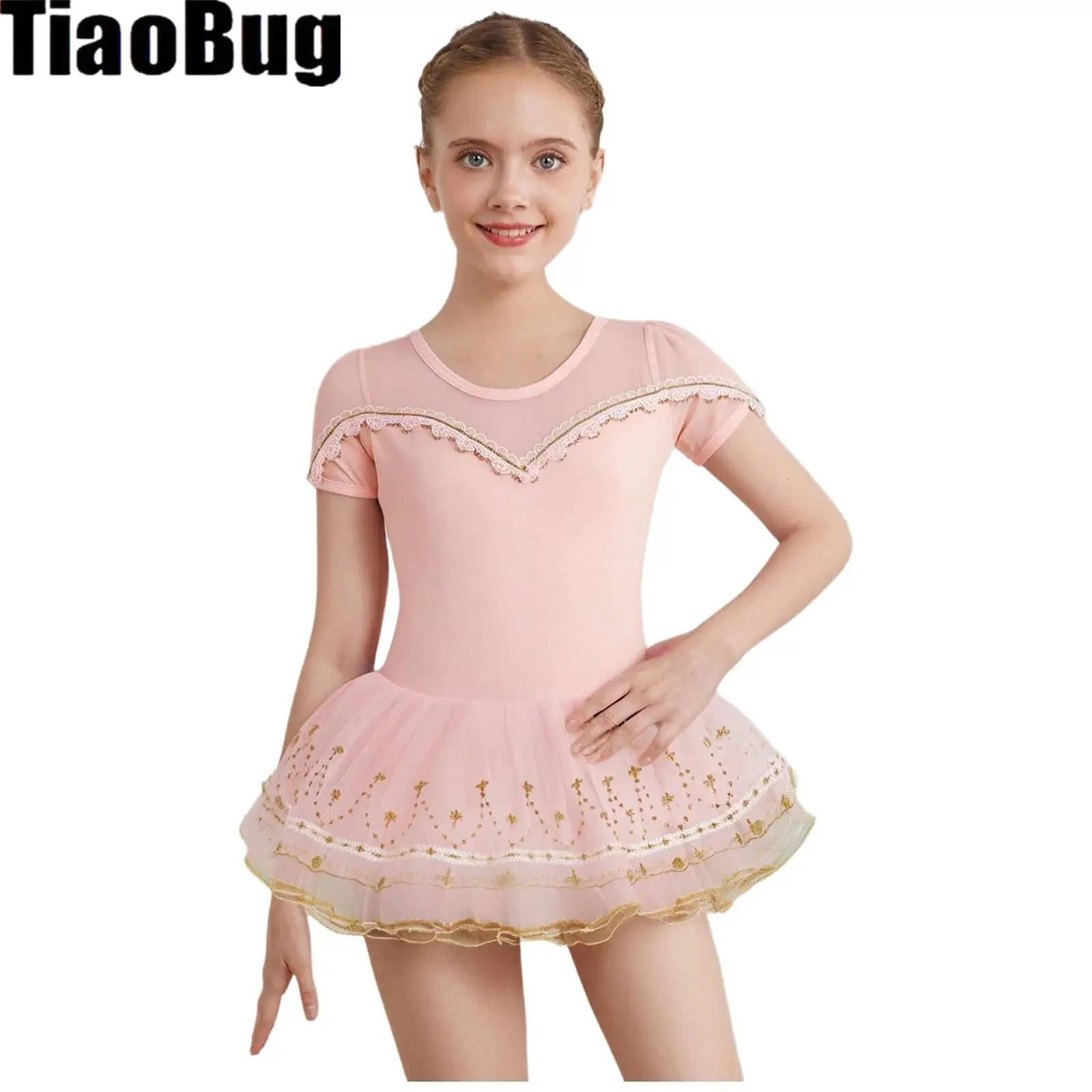 

Kids Girls Ballet Dress Gymnastics Leotards Short Sleeve Sheer Mesh Lace Embroidery Ballerina Tutu Dance Dress