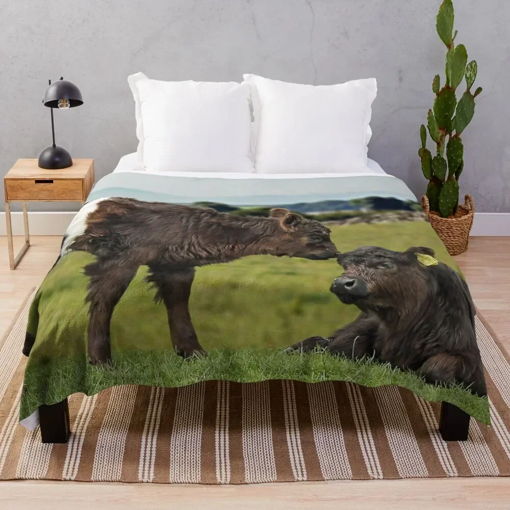 

Belted Galloway Throw Blanket Soft Cozy Blanket for Pet Kids Adults