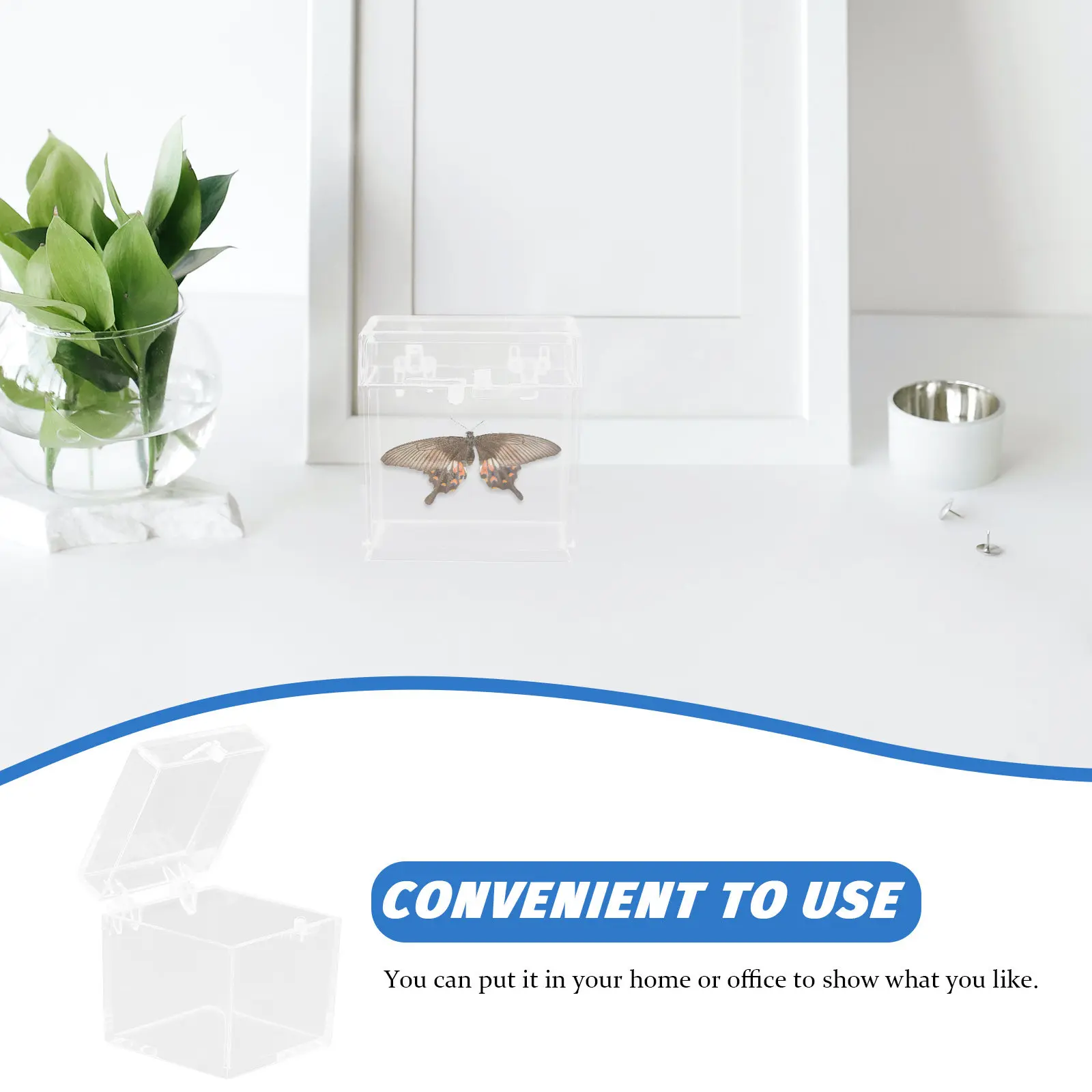 

12Pcs Transparent Storage Box Clear Specimen Display Case for Mineral Rocks Collection Organizer Square Plastic Protection