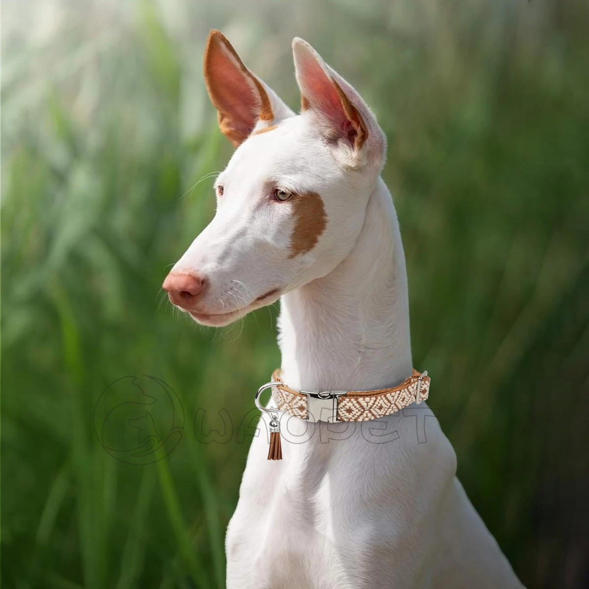 Haustierhalsbänder im böhmischen Ethno-Stil für kleine, mittelgroße und große Hunde. Mehrfarbig. Wählen Sie verstellbare, luxuriöse Trend-Neuheiten – Detail 12