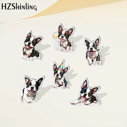 2023 Cartoon Cute Animal Pet Boston Terrier Dog Acrylic Lapel Pin Resin Epoxy Acrylic Pins Fashion Jewelry Accessories