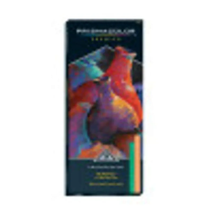 

27049 Premier NuPastel Firm Pastel Color Sticks 24-Count