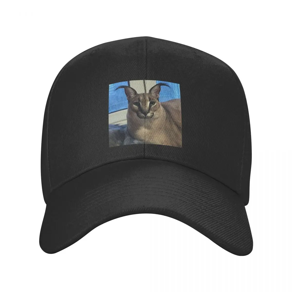 Big Floppa Funny Meme Baseball Cap for Men Women Adjustable Caracal Cat Dad Hat Performance Snapback Caps