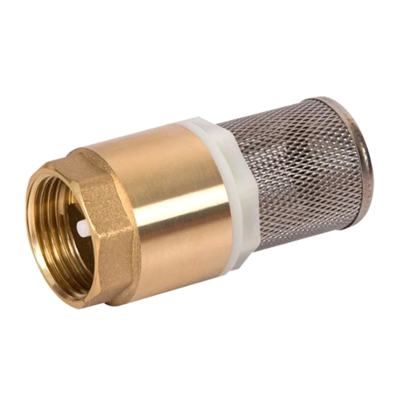 Compact 1inch/3/4inch Check Valves with Firmly Mounted Stainless Steel Basket Ensures Smooth Operation Quick Fixing