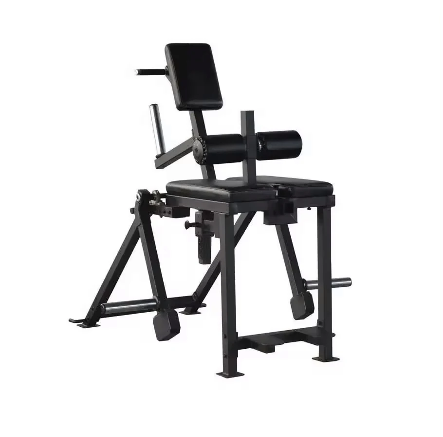 

Comprehensive Plate Loaded Gym Equipment Nordic Curl Workout Bench Gym Hamstring Curl Machine Leg Curl Bench for Back Workout