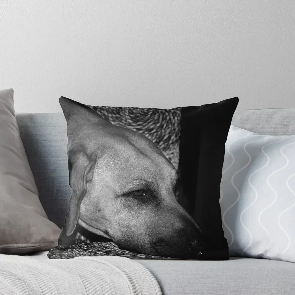

The Philosopher Throw Pillow Luxury Pillow Case pillow cover luxury Christmas Cases Ornamental