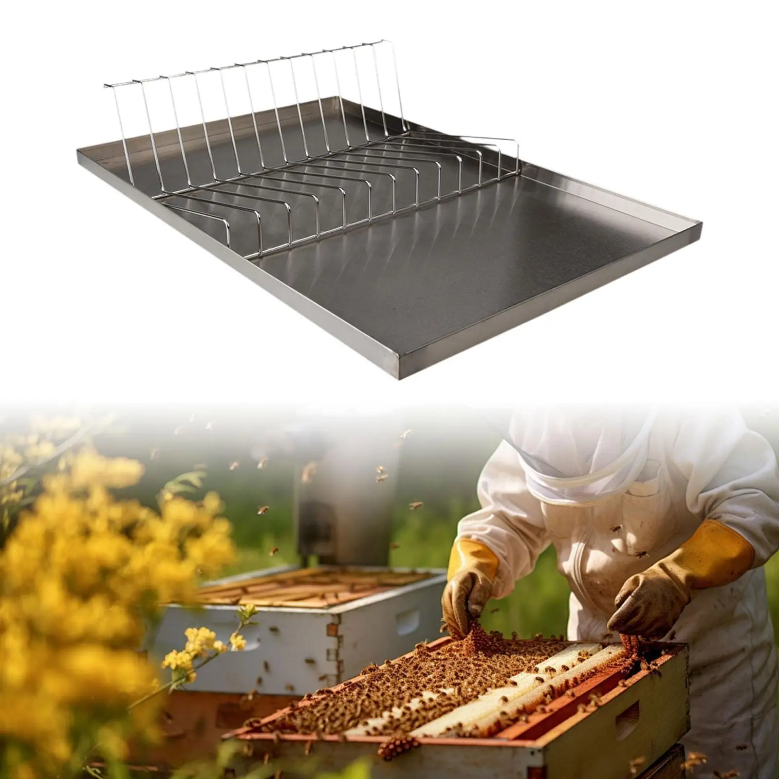 

Beekeeping Honeycomb Holder Stand Beekeeping Uncapping Station for Bakeries Coffee Shops Honey Harvesting Cafeterias Beekeeping