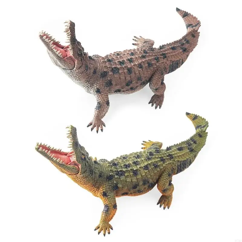 

97BE Life Like Model With Articulated Mouth Kids Educational Biology Toy