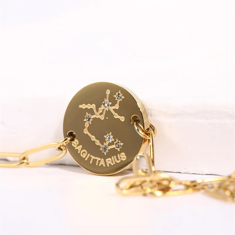 Punk Gold Plated Stainless Steel Coin Round Charm Bracelets CZ Zircon Horoscope 12 Constellations Bracelets Jewelry Gifts