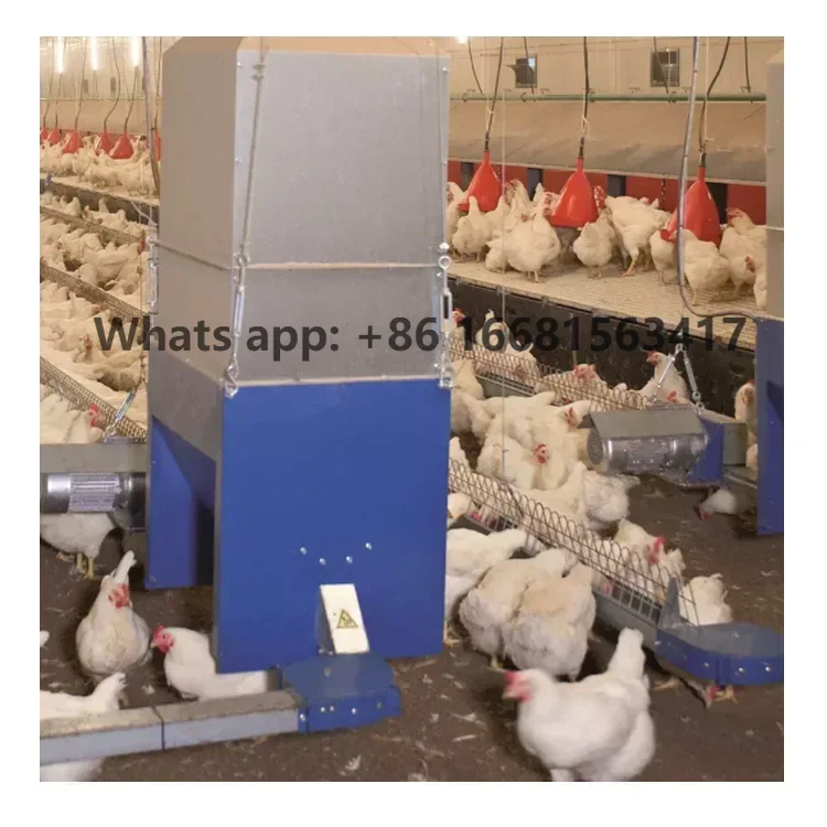 2024 Chicken Automatic Poultry Feeder Line Breeder Chain Feeding Equipment