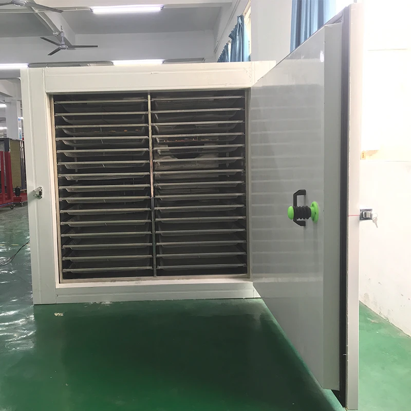 Fotografia 5: Máquina de Secar Peixes com Preço de Fábrica