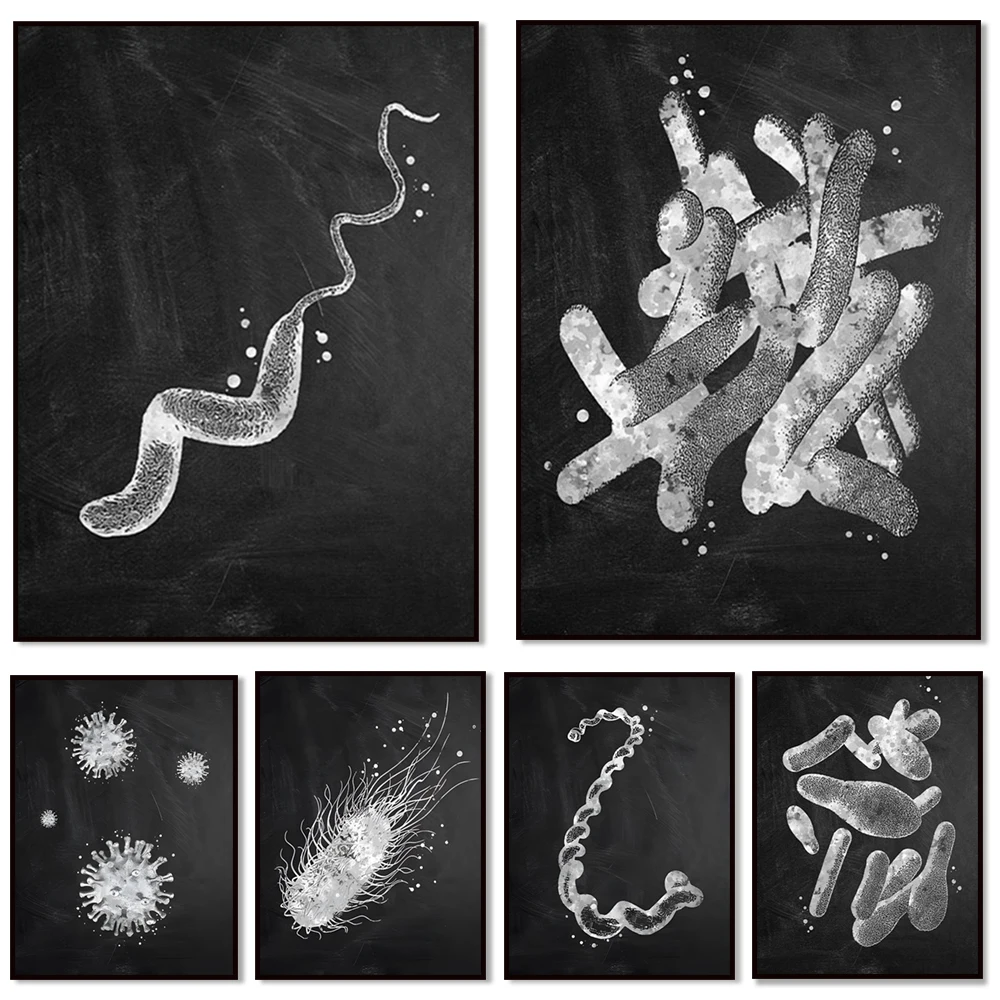 Medical Lab Posters - Affiche sur les types de bactéries,