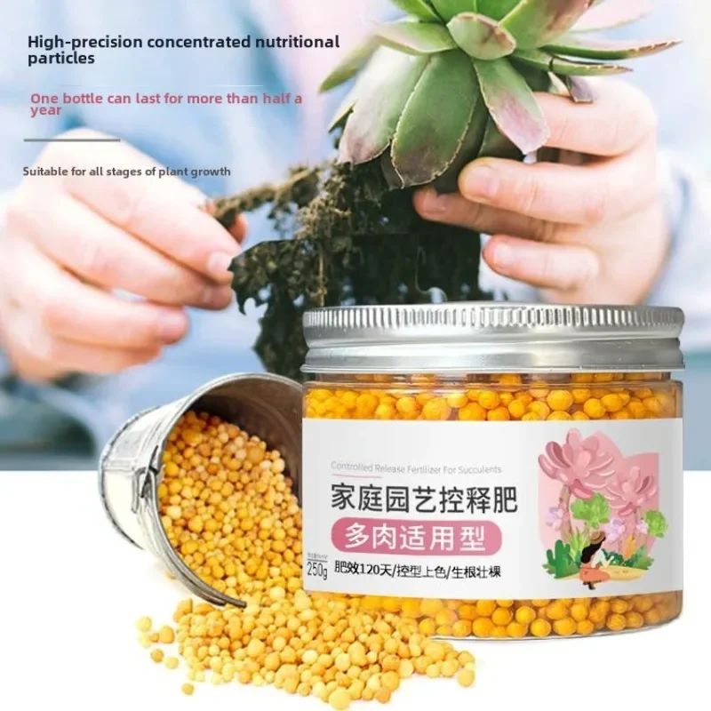 Flower Fertilizer Valley Succulent Fertilizer Slow-release Nutrient Granules for Household Flowers and Green Plants Nitrogen