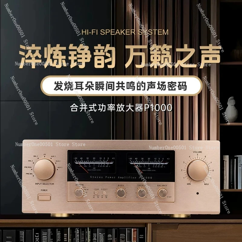 Audio P1000 Class A and B High-power Two-channel High and Low Sound Adjustment Hifi Combined Power Amplifier