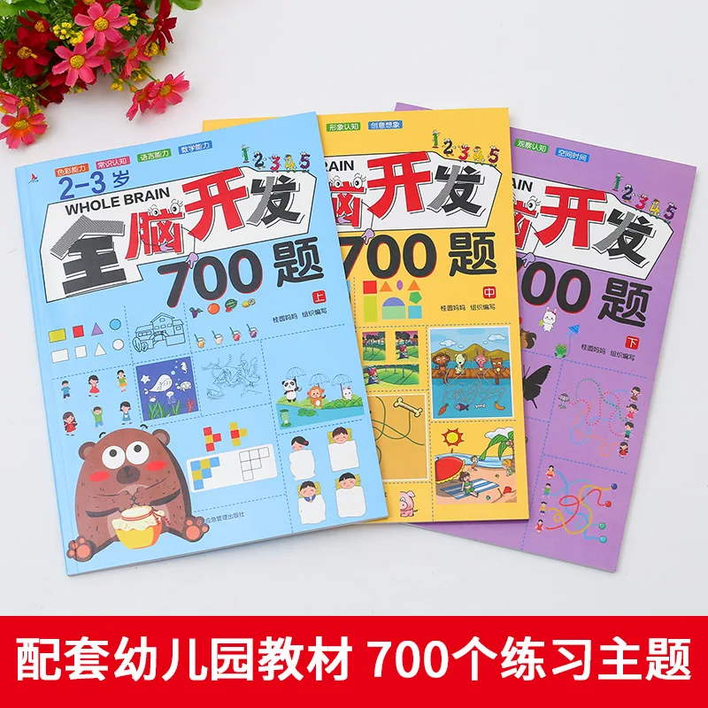 700 Questions on Whole Brain Development, Early Childhood Education Book for Children Aged 2-6, Children's Thinking Training