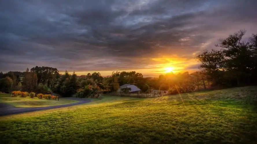 

Car Auto Dashboard Cover Dash Mat For NIssan Note 2015 2016 2017 2018 2019 2020 Non-slip Right Sun Shade Carpet