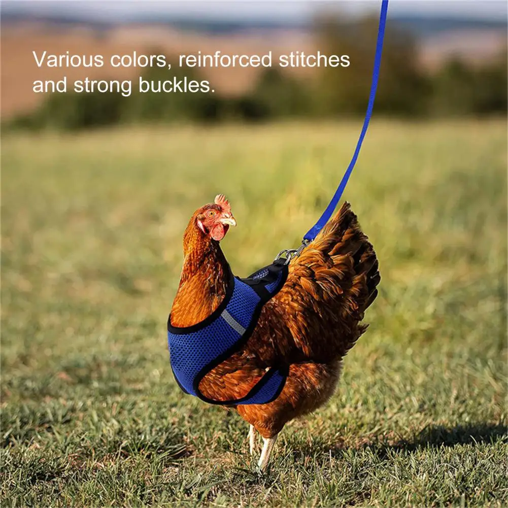 

1 Set Chicken Harness Wearable Poultry Soft Safety Harness Unisex Duck Leash