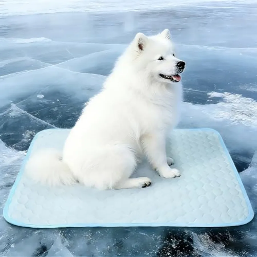 Dog Cooling Mat: Anti-Slip and Washable Cooling Pad for Medium Dogs, Indoor and Outdoor Pet Cooling Blanket for Sofa, Kennel, C