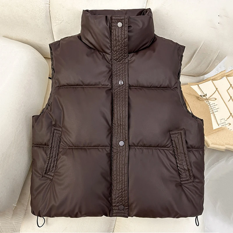 Autumn Winter Sleeveless Parka for Women Korean Stand Collar Down Cotton Waistcoat Woman 2025 Zipper-Up Puff Warm Vests Female