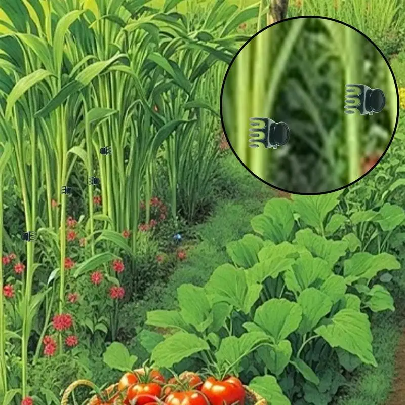 Plant Vine Clips Or…